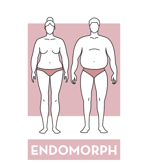 endomorph