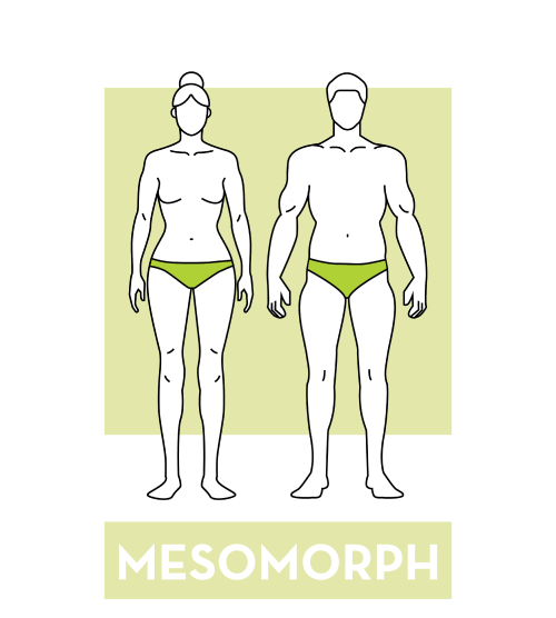 mesomorph